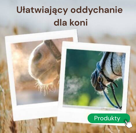 Pacitea webshop