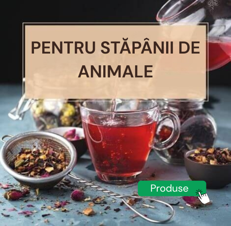 Pacitea webshop