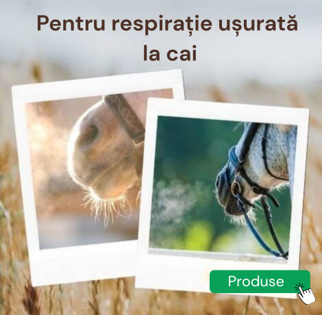 Pacitea webshop