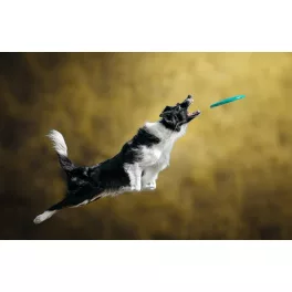 Joint protection