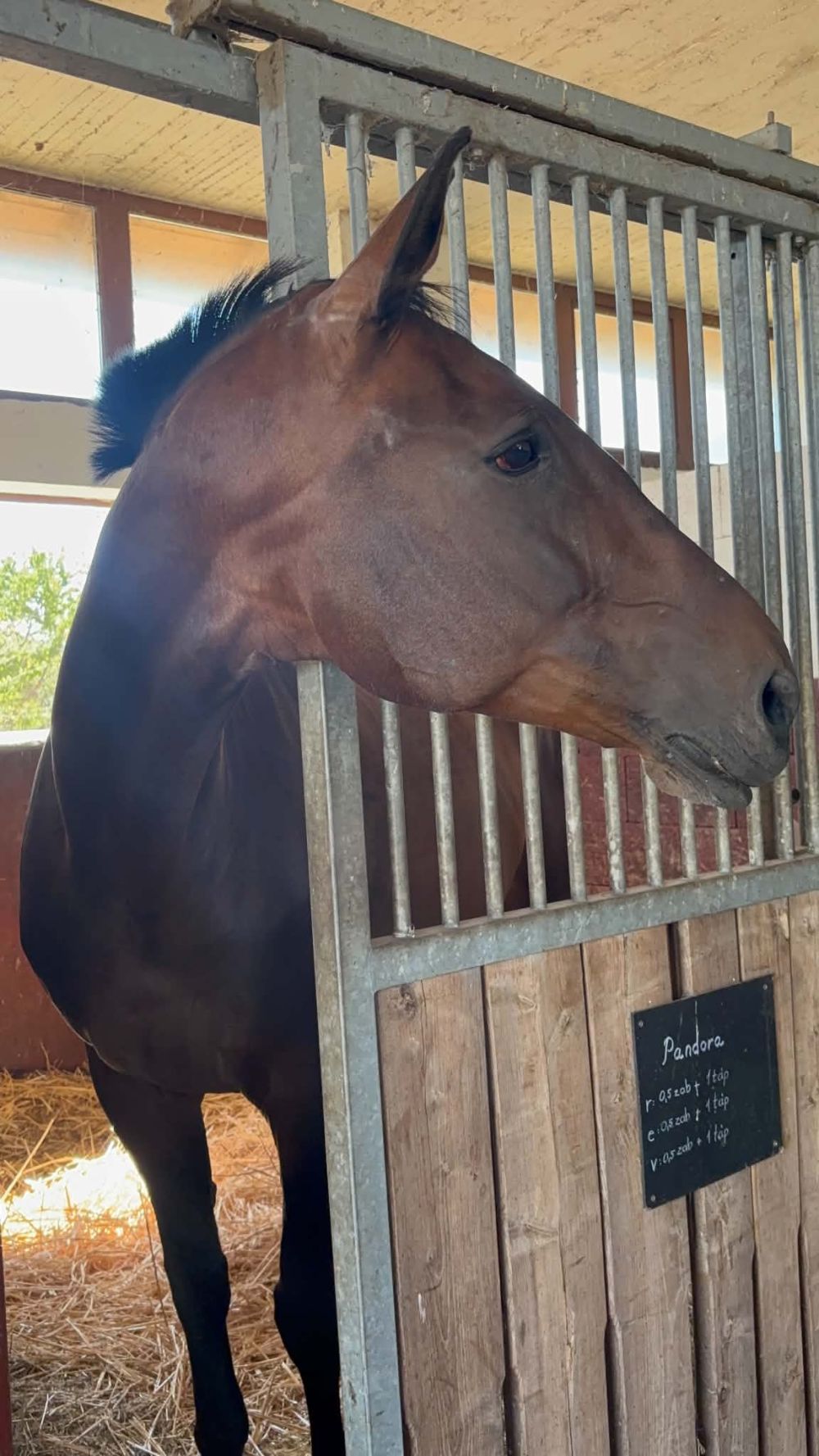 Herbahorse Easy Breath légzéskönnyítő pellet 20kg
